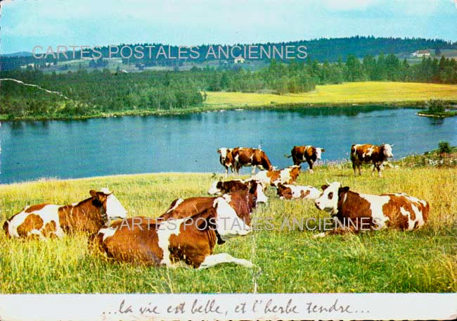 Cartes postales anciennes > CARTES POSTALES > carte postale ancienne > cartes-postales-ancienne.com Bourgogne franche comte Doubs Chapelle Des Bois