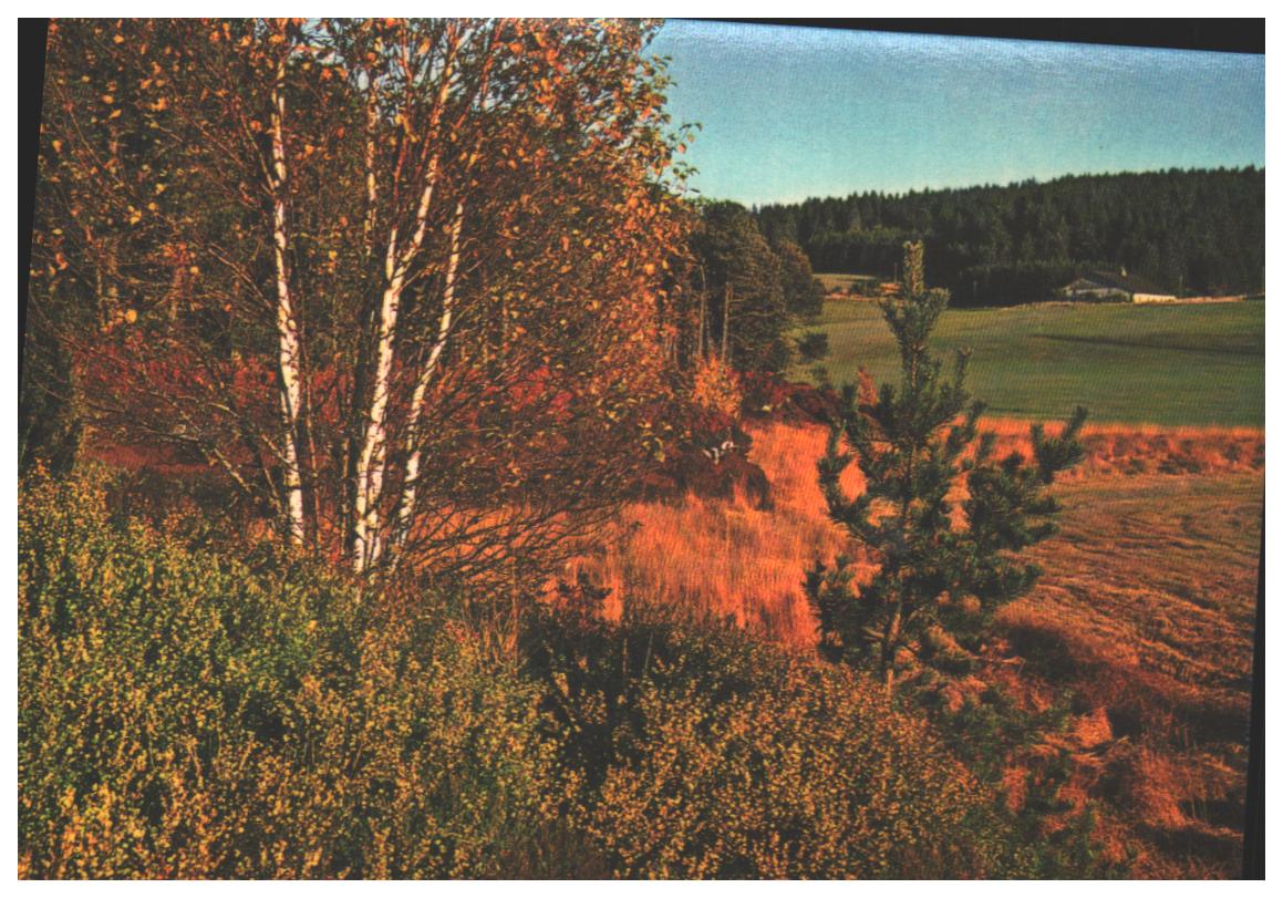 Cartes postales anciennes > CARTES POSTALES > carte postale ancienne > cartes-postales-ancienne.com Bourgogne franche comte Morteau