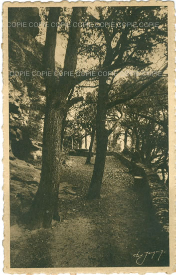 Cartes postales anciennes > CARTES POSTALES > carte postale ancienne > cartes-postales-ancienne.com Auvergne rhone alpes Drome Andancette