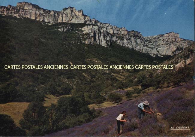 Cartes postales anciennes > CARTES POSTALES > carte postale ancienne > cartes-postales-ancienne.com Auvergne rhone alpes Die
