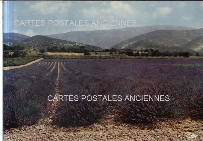 Cartes postales anciennes > CARTES POSTALES > carte postale ancienne > cartes-postales-ancienne.com Auvergne rhone alpes Drome La Chapelle En Vercors