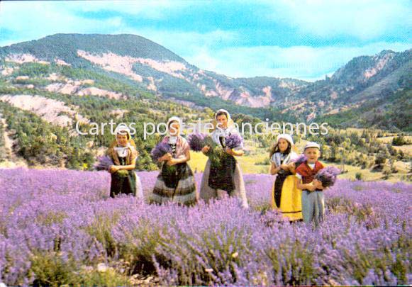 Cartes postales anciennes > CARTES POSTALES > carte postale ancienne > cartes-postales-ancienne.com Auvergne rhone alpes Drome Donzere