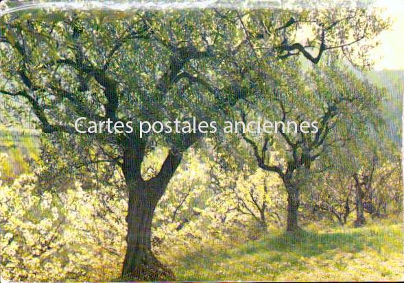 Cartes postales anciennes > CARTES POSTALES > carte postale ancienne > cartes-postales-ancienne.com Auvergne rhone alpes Drome Nyons