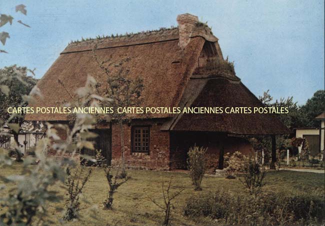 Cartes postales anciennes > CARTES POSTALES > carte postale ancienne > cartes-postales-ancienne.com Normandie Eure La Haye De Routot