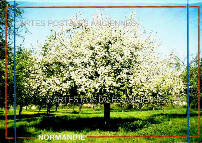 Cartes postales anciennes > CARTES POSTALES > carte postale ancienne > cartes-postales-ancienne.com Eure  Louviers
