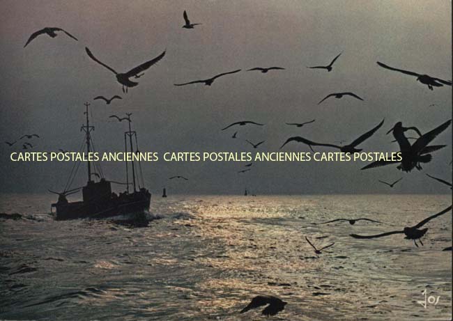 Cartes postales anciennes > CARTES POSTALES > carte postale ancienne > cartes-postales-ancienne.com Bretagne Finistere Saint-Pol-De-Leon