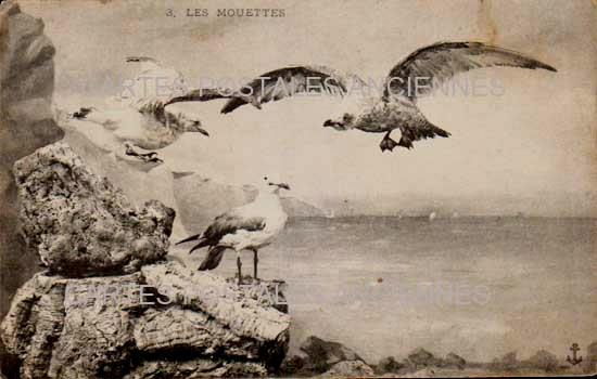 Cartes postales anciennes > CARTES POSTALES > carte postale ancienne > cartes-postales-ancienne.com Bretagne Finistere Roscoff