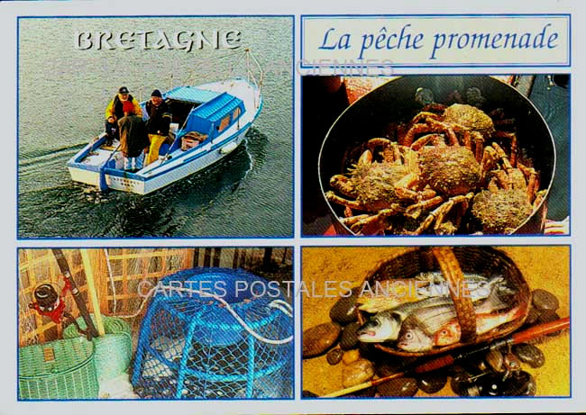 Cartes postales anciennes > CARTES POSTALES > carte postale ancienne > cartes-postales-ancienne.com Bretagne Finistere Pleyben