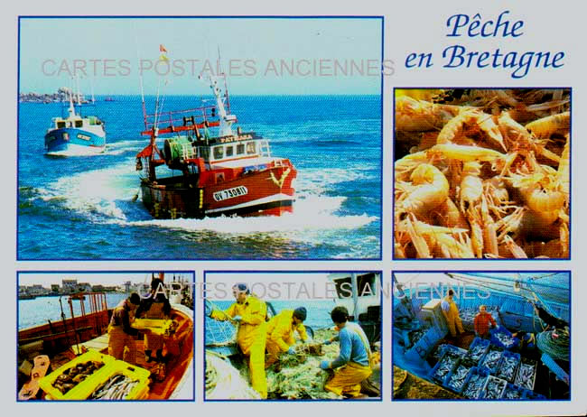 Cartes postales anciennes > CARTES POSTALES > carte postale ancienne > cartes-postales-ancienne.com Bretagne Finistere Brest