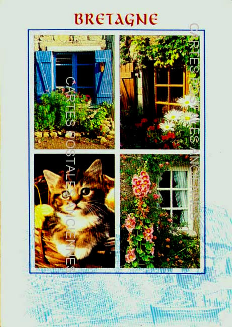 Cartes postales anciennes > CARTES POSTALES > carte postale ancienne > cartes-postales-ancienne.com Bretagne Finistere Brest
