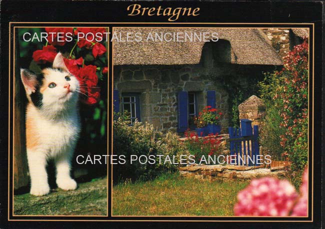 Cartes postales anciennes > CARTES POSTALES > carte postale ancienne > cartes-postales-ancienne.com Bretagne Finistere Brest