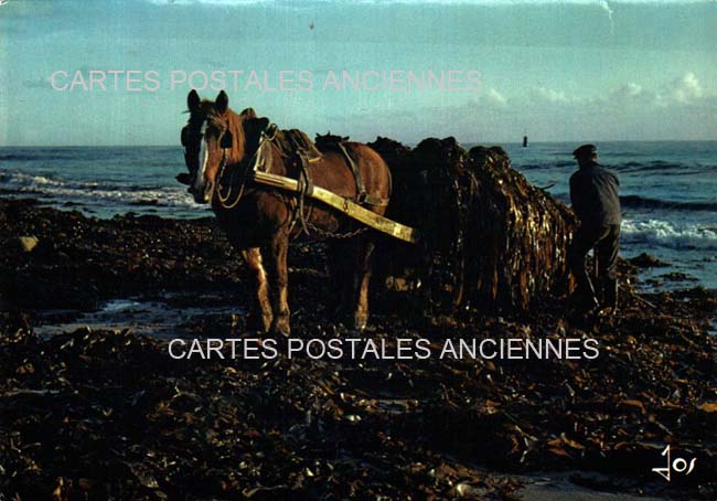 Cartes postales anciennes > CARTES POSTALES > carte postale ancienne > cartes-postales-ancienne.com Bretagne Finistere Saint-Pol-De-Leon