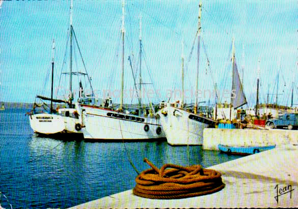 Cartes postales anciennes > CARTES POSTALES > carte postale ancienne > cartes-postales-ancienne.com Bretagne Camaret Sur Mer