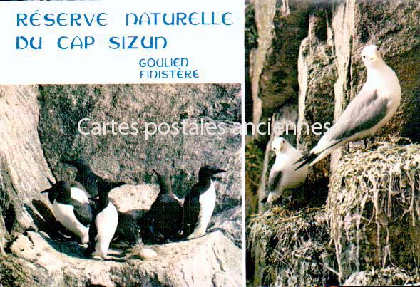 Cartes postales anciennes > CARTES POSTALES > carte postale ancienne > cartes-postales-ancienne.com Bretagne Finistere Goulien