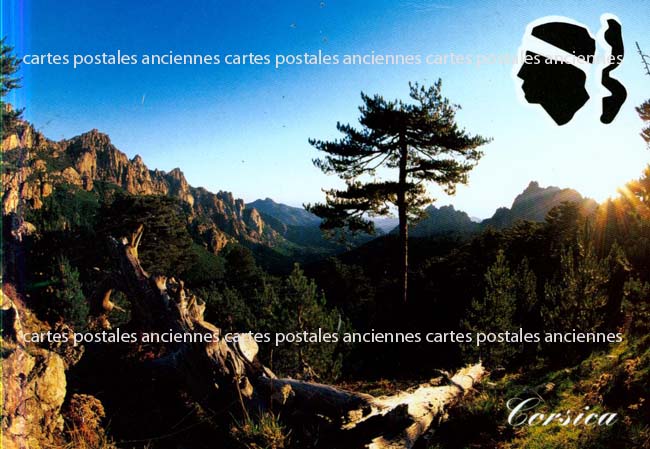 Cartes postales anciennes > CARTES POSTALES > carte postale ancienne > cartes-postales-ancienne.com Corse
