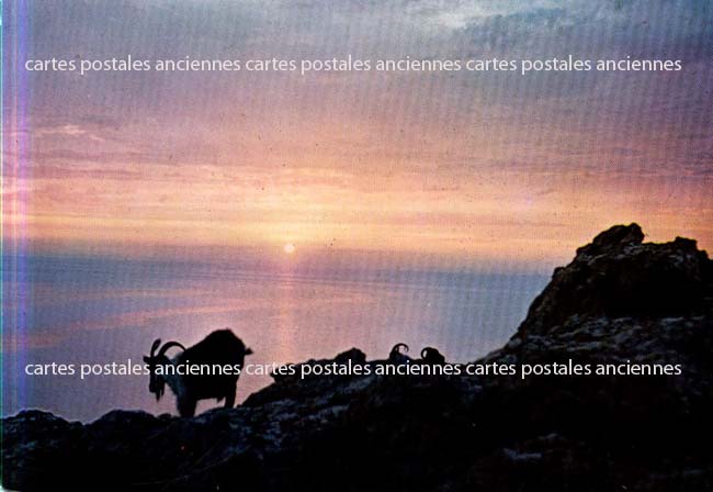 Cartes postales anciennes > CARTES POSTALES > carte postale ancienne > cartes-postales-ancienne.com Corse