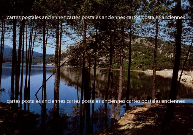 Cartes postales anciennes > CARTES POSTALES > carte postale ancienne > cartes-postales-ancienne.com Corse