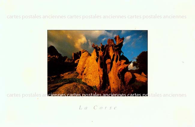 Cartes postales anciennes > CARTES POSTALES > carte postale ancienne > cartes-postales-ancienne.com Corse
