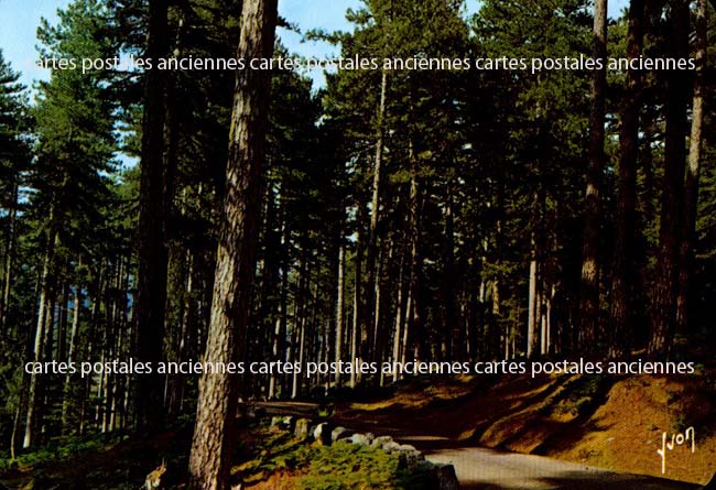 Cartes postales anciennes > CARTES POSTALES > carte postale ancienne > cartes-postales-ancienne.com Corse