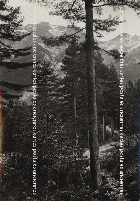 Cartes postales anciennes > CARTES POSTALES > carte postale ancienne > cartes-postales-ancienne.com Corse