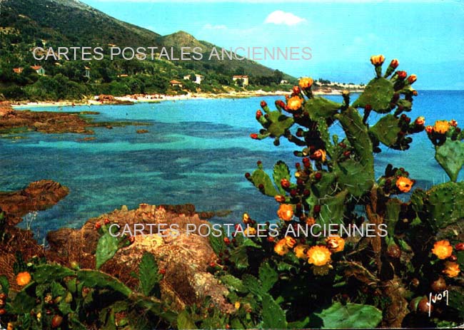 Cartes postales anciennes > CARTES POSTALES > carte postale ancienne > cartes-postales-ancienne.com Corse  Ajaccio