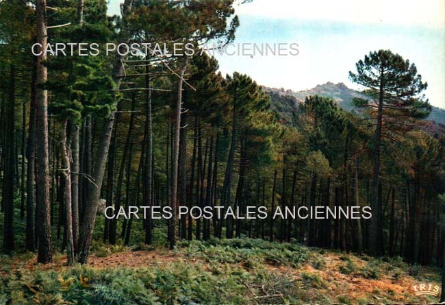 Cartes postales anciennes > CARTES POSTALES > carte postale ancienne > cartes-postales-ancienne.com Corse  Corse du sud 2a Zonza