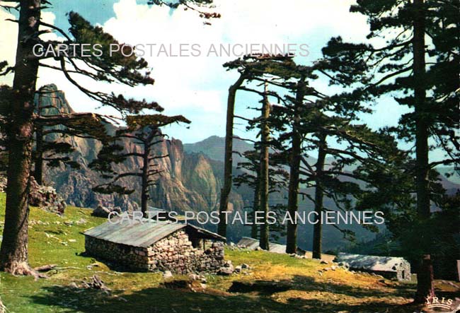 Cartes postales anciennes > CARTES POSTALES > carte postale ancienne > cartes-postales-ancienne.com Corse  Corse du sud 2a Zonza