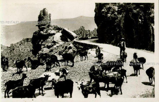 Piana