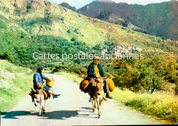 Cartes postales anciennes > CARTES POSTALES > carte postale ancienne > cartes-postales-ancienne.com Corse  Corse du sud 2a Propriano