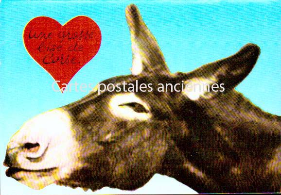 Cartes postales anciennes > CARTES POSTALES > carte postale ancienne > cartes-postales-ancienne.com Corse  Corse du sud 2a Ajaccio