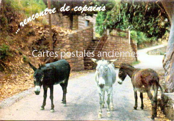 Cartes postales anciennes > CARTES POSTALES > carte postale ancienne > cartes-postales-ancienne.com Corse  Ajaccio