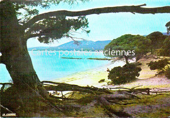 Cartes postales anciennes > CARTES POSTALES > carte postale ancienne > cartes-postales-ancienne.com Corse  Ajaccio