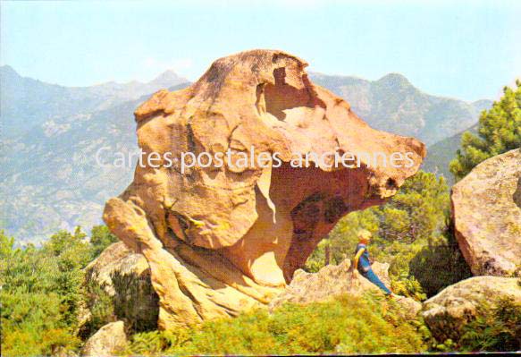 Cartes postales anciennes > CARTES POSTALES > carte postale ancienne > cartes-postales-ancienne.com Corse  Piana