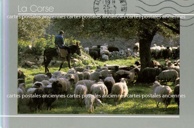 Cartes postales anciennes > CARTES POSTALES > carte postale ancienne > cartes-postales-ancienne.com Corse  Haute corse 2b