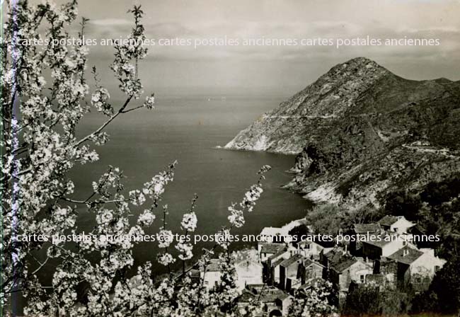 Cartes postales anciennes > CARTES POSTALES > carte postale ancienne > cartes-postales-ancienne.com Corse  Haute corse 2b