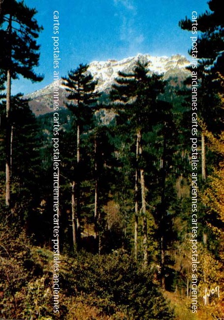 Cartes postales anciennes > CARTES POSTALES > carte postale ancienne > cartes-postales-ancienne.com Corse  Haute corse 2b