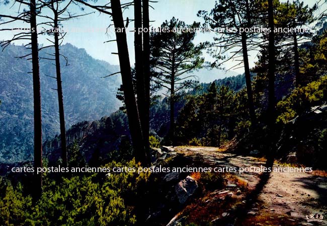 Cartes postales anciennes > CARTES POSTALES > carte postale ancienne > cartes-postales-ancienne.com Corse  Haute corse 2b