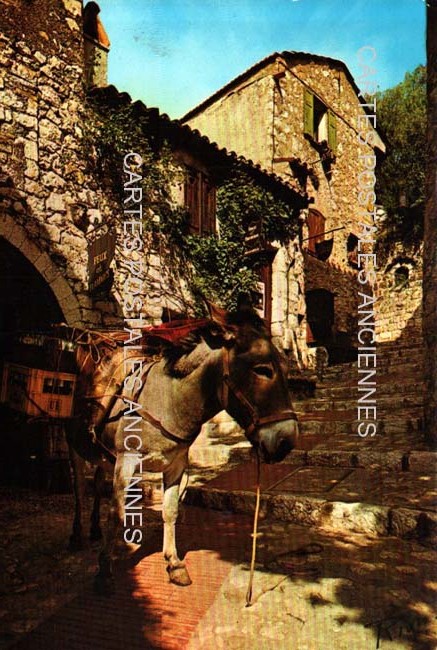Cartes postales anciennes > CARTES POSTALES > carte postale ancienne > cartes-postales-ancienne.com Corse  Haute corse 2b Lucciana