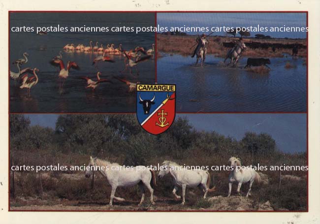 Cartes postales anciennes > CARTES POSTALES > carte postale ancienne > cartes-postales-ancienne.com Gard