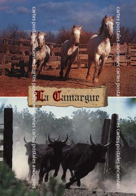 Cartes postales anciennes > CARTES POSTALES > carte postale ancienne > cartes-postales-ancienne.com Gard