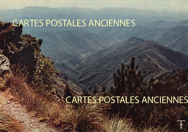 Cartes postales anciennes > CARTES POSTALES > carte postale ancienne > cartes-postales-ancienne.com Occitanie Gard Dourbies
