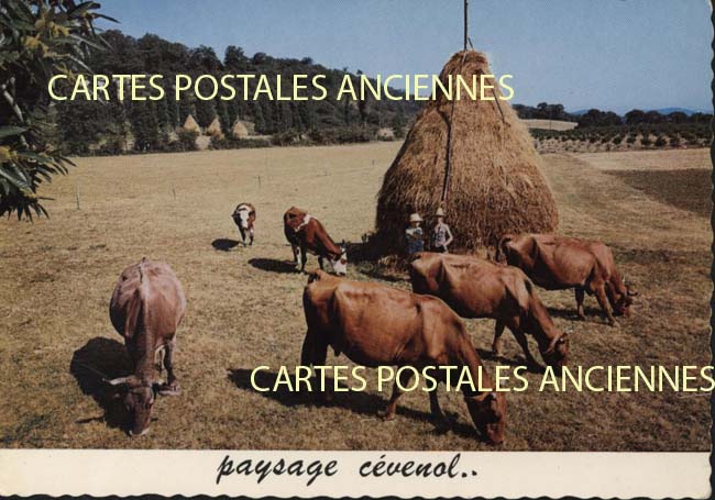 Cartes postales anciennes > CARTES POSTALES > carte postale ancienne > cartes-postales-ancienne.com Occitanie Gard Anduze