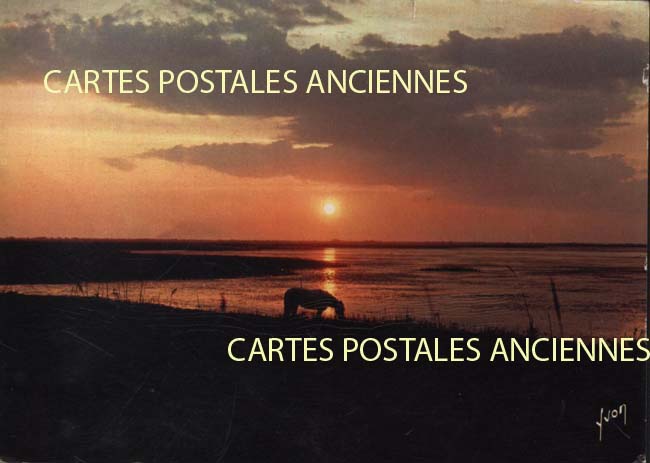 Cartes postales anciennes > CARTES POSTALES > carte postale ancienne > cartes-postales-ancienne.com Occitanie Gard Aigues Mortes