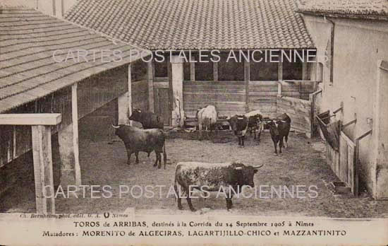 Cartes postales anciennes > CARTES POSTALES > carte postale ancienne > cartes-postales-ancienne.com Occitanie Gard Nimes