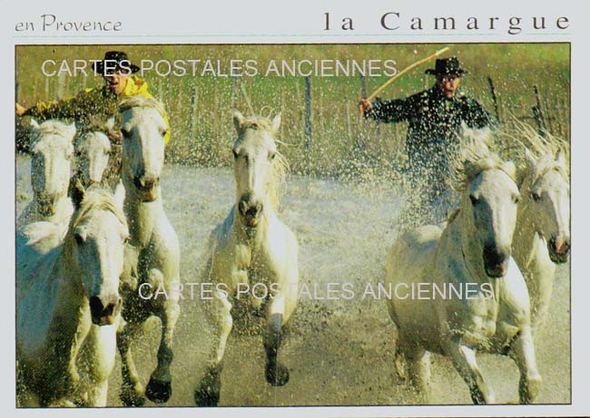 Cartes postales anciennes > CARTES POSTALES > carte postale ancienne > cartes-postales-ancienne.com Occitanie Gard Aigues Mortes