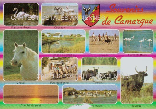 Cartes postales anciennes > CARTES POSTALES > carte postale ancienne > cartes-postales-ancienne.com Occitanie Gard Aigues Mortes