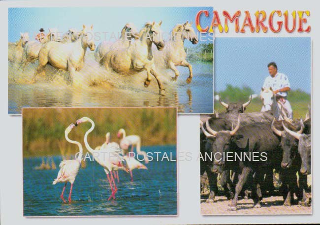 Cartes postales anciennes > CARTES POSTALES > carte postale ancienne > cartes-postales-ancienne.com Occitanie Gard Aigues Mortes