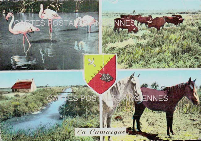 Cartes postales anciennes > CARTES POSTALES > carte postale ancienne > cartes-postales-ancienne.com Occitanie Gard Aigues Mortes