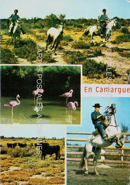 Cartes postales anciennes > CARTES POSTALES > carte postale ancienne > cartes-postales-ancienne.com Occitanie Gard Aigues Mortes