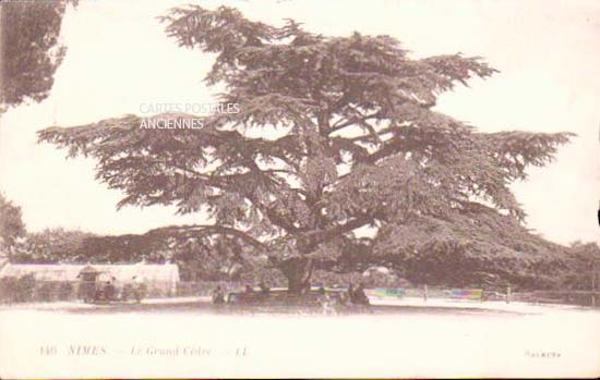 Cartes postales anciennes > CARTES POSTALES > carte postale ancienne > cartes-postales-ancienne.com Occitanie Gard Nimes